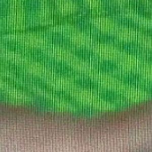 Meet your Posher, Adrian